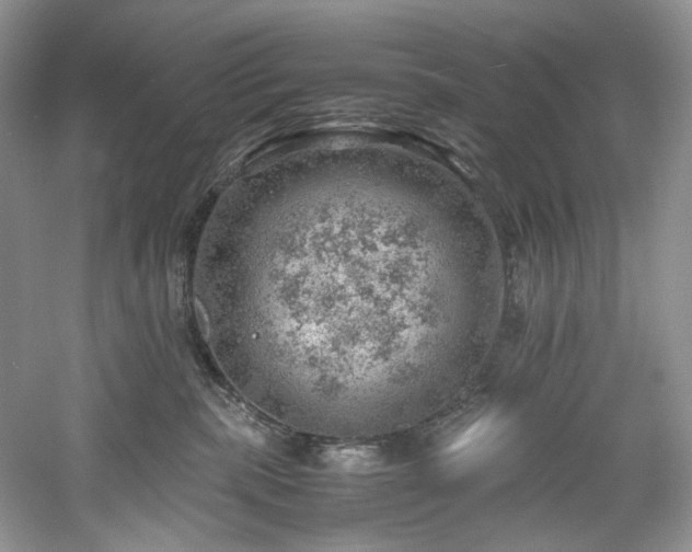 X0000061110283200511181137