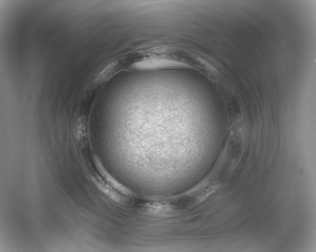 X0000061110284200511181137