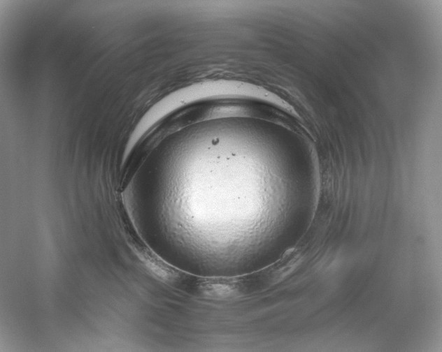 X0000061110285200511181137