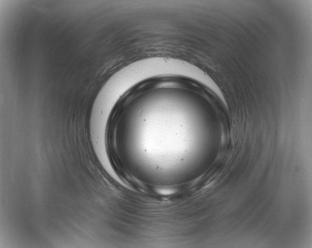 X0000061110287200511181138