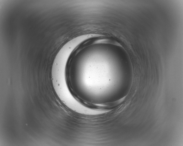 X0000061110288200511181138