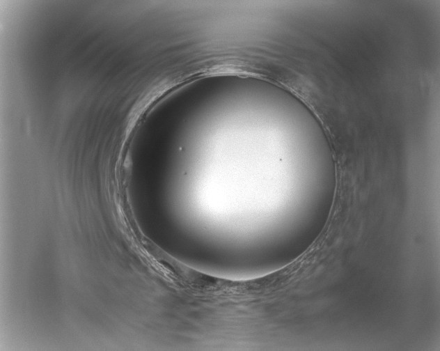 X0000061110289200511181137