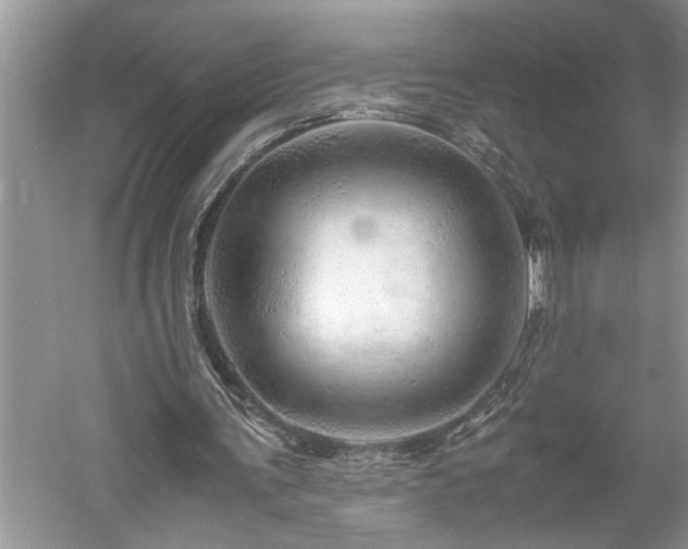 X0000061110291200511181137