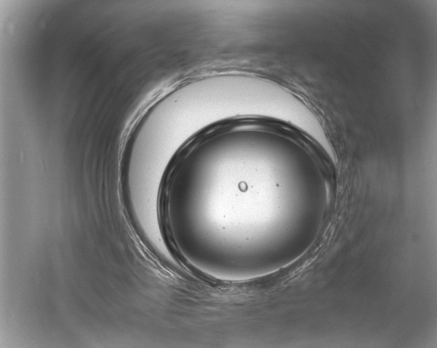 X0000061110293200511181137