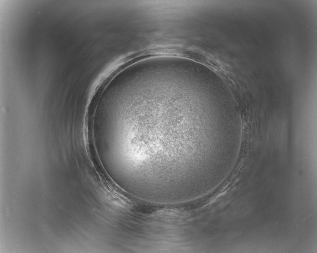 X0000061110294200511181137