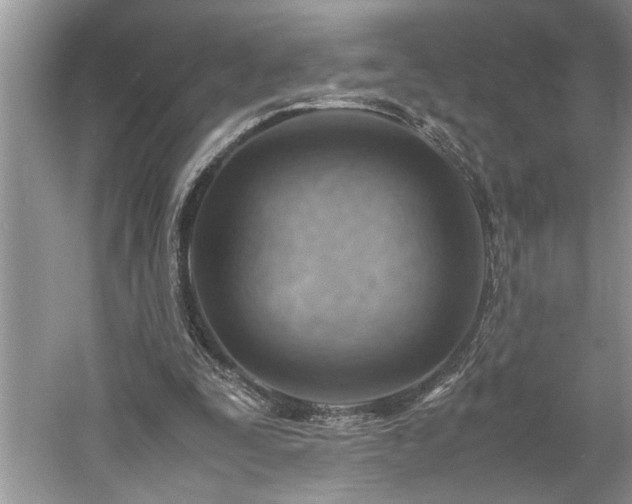 X0000061110295200511181137