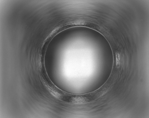 X0000061110300200511181137