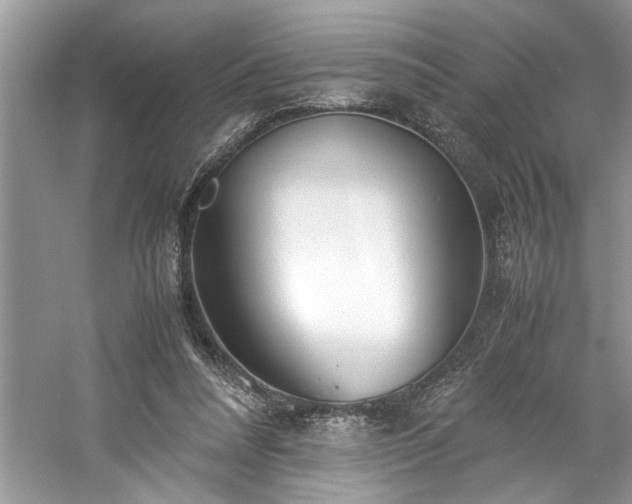 X0000061110304200511181136