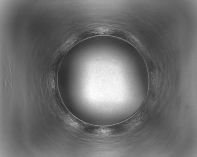 X0000061110313200511181136