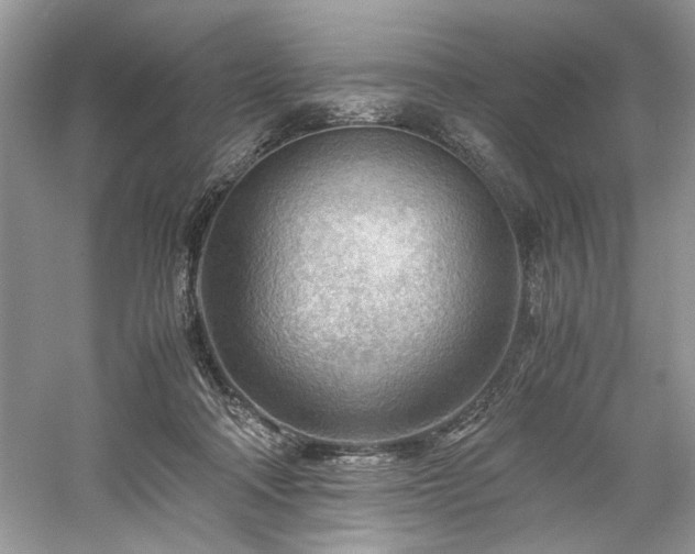 X0000061110314200511181136