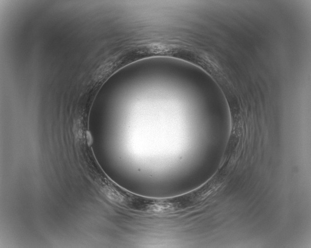 X0000061110317200511181136