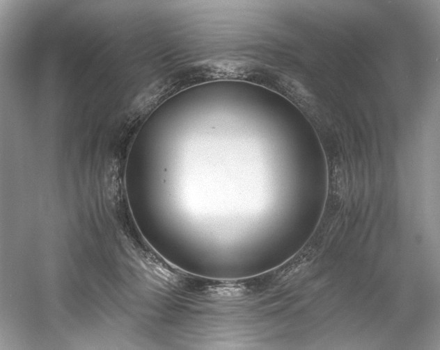 X0000061110318200511181136