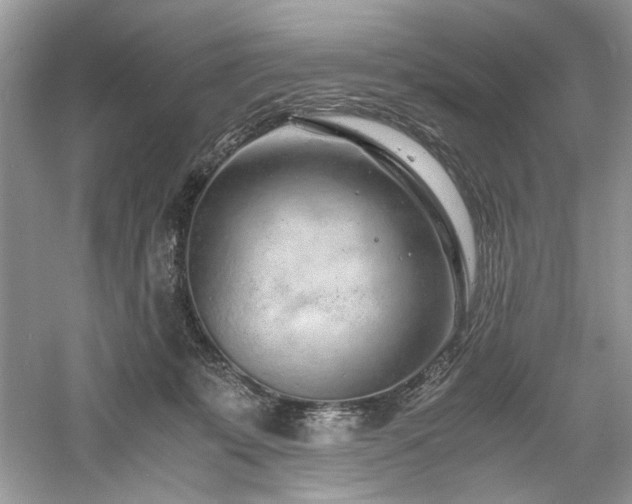 X0000061110319200511181136