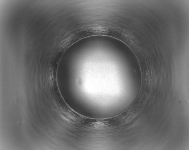 X0000061110320200511181136