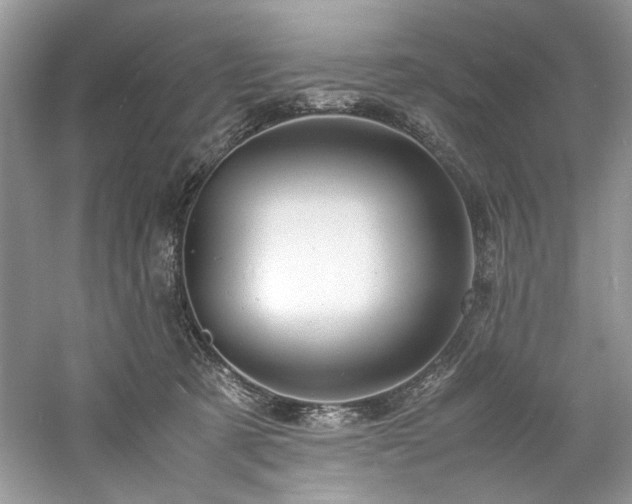 X0000061110321200511181136
