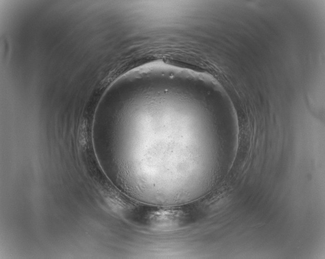 X0000061110323200511181136