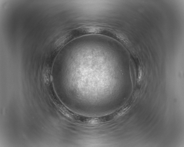 X0000061110325200511181136