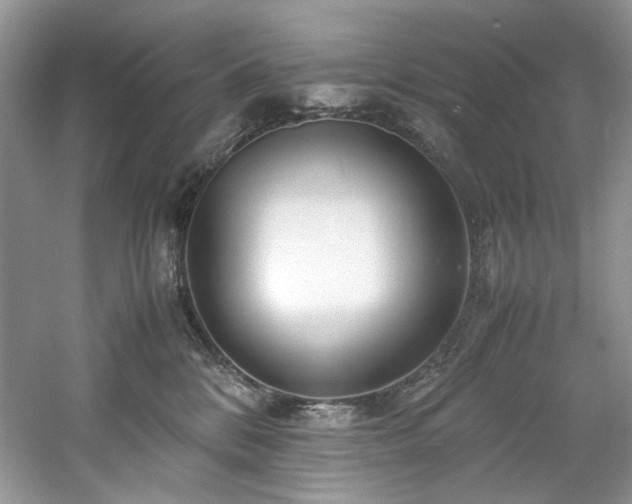 X0000061110328200511181136