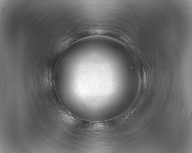 X0000061110330200511181136