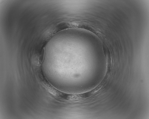X0000061110331200511181136