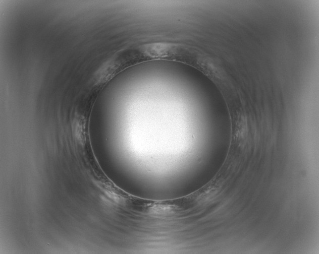 X0000061110332200511181136