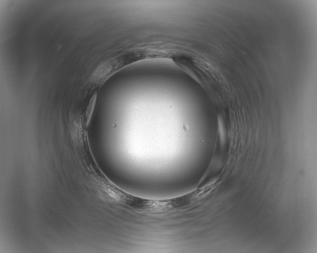 X0000061110333200511181136