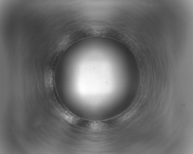 X0000061110336200511181136