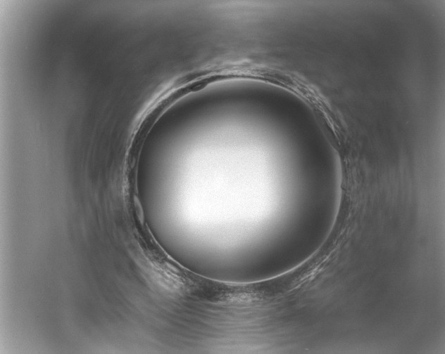 X0000061110344200511181135