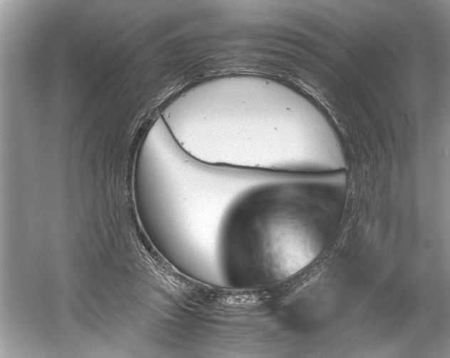 X0000061110353200511181135