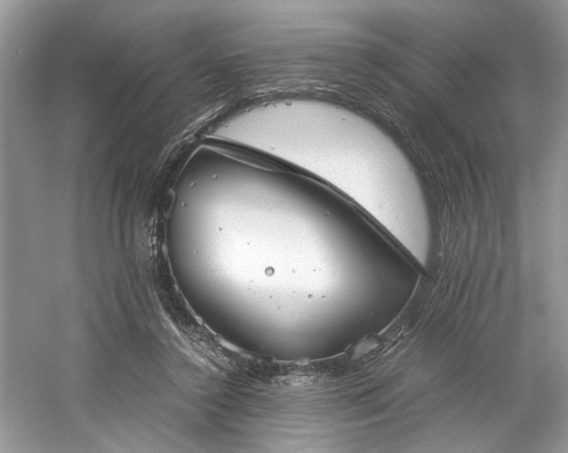 X0000061110356200511181135