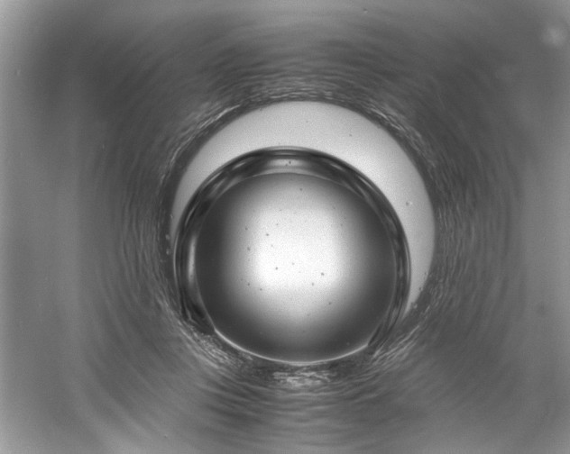 X0000061110359200511181135