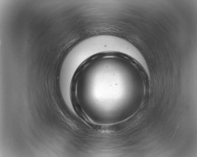 X0000061110360200511181136