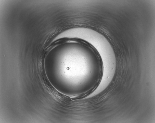 X0000061110365200511181136