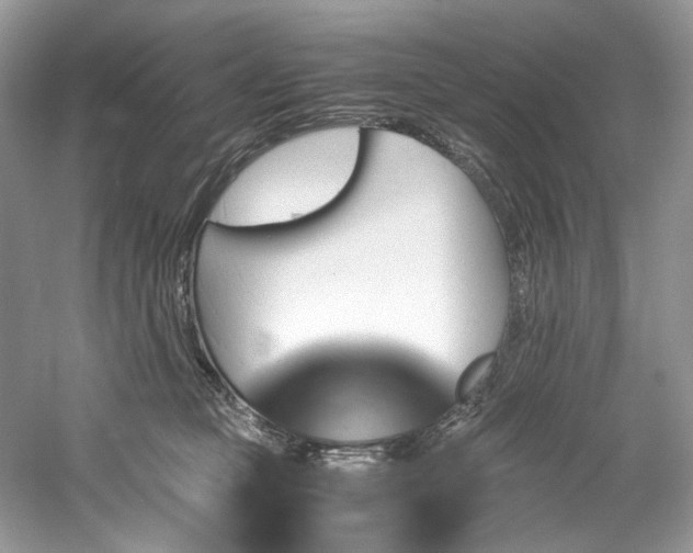 X0000061110373200511181136