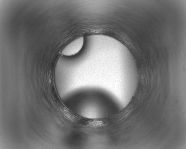 X0000061110374200511181136