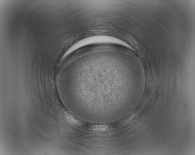 X0000061110377200511181136