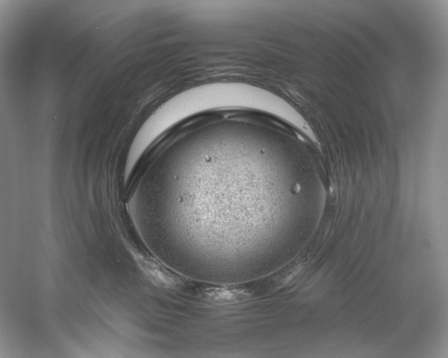X0000061110379200511181136