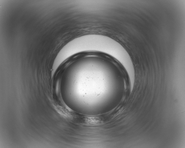 X0000061110380200511181136