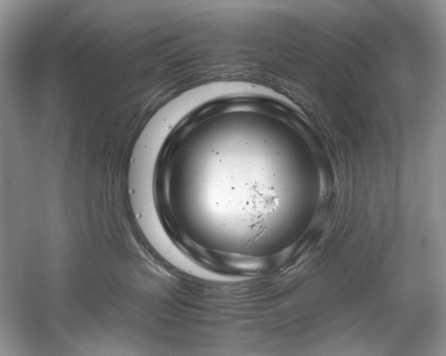 X0000061110383200511181136