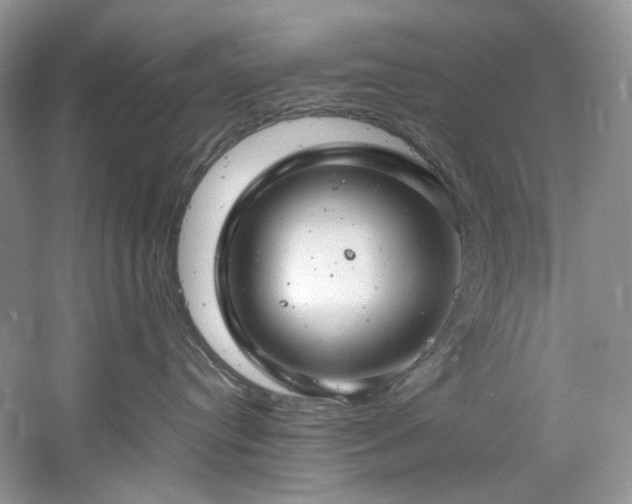 X0000061110384200511181136