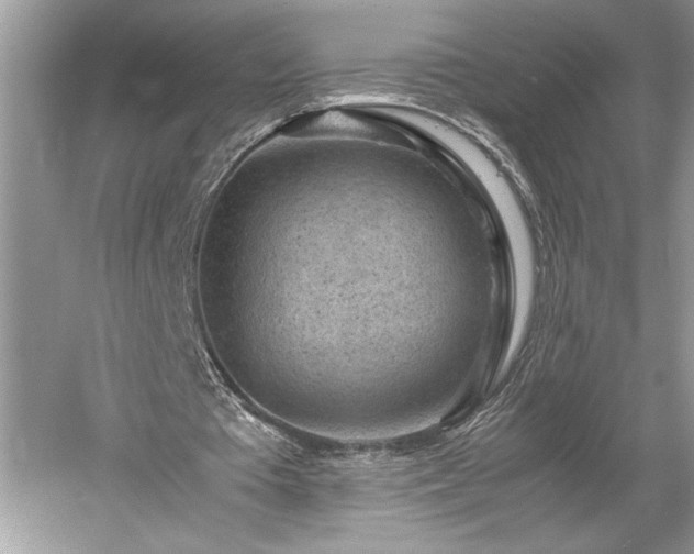 X0000061110385200511181135