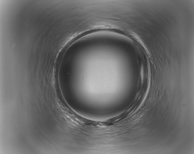 X0000061110387200511181135
