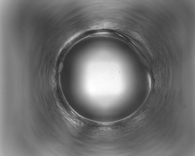 X0000061110392200511181135
