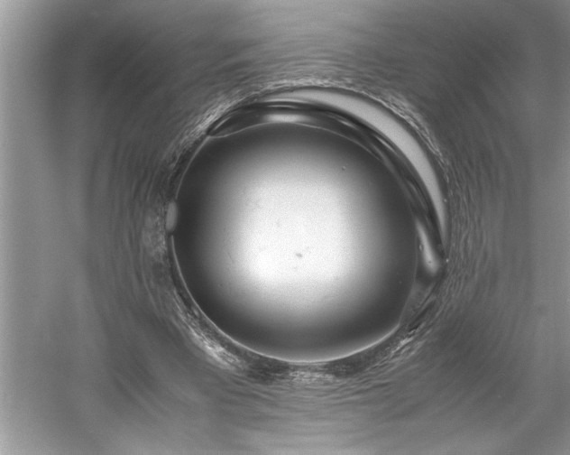 X0000061110393200511181135