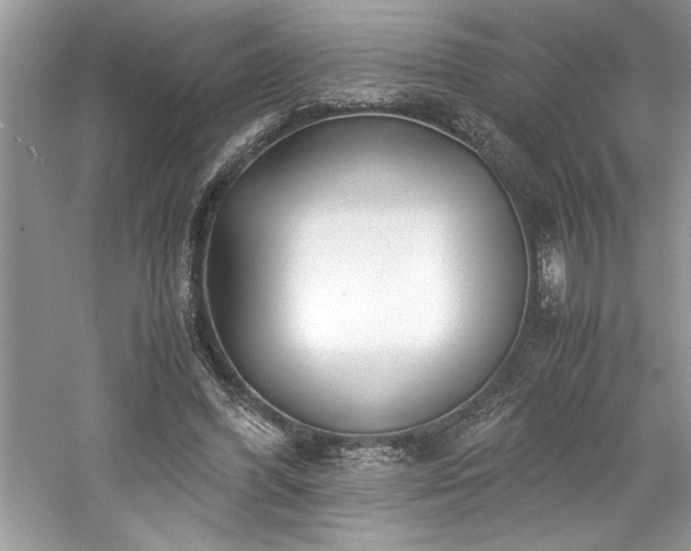 X0000061110396200511181135
