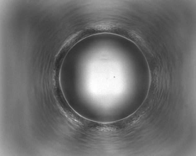 X0000061110400200511181135