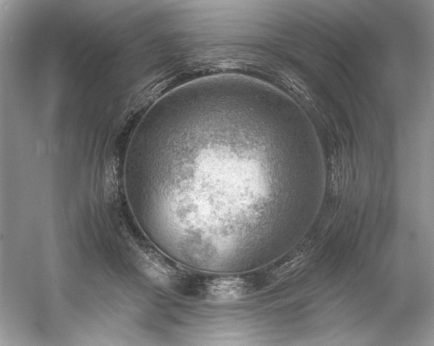 X0000061110410200511181135