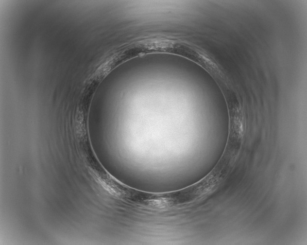 X0000061110411200511181135