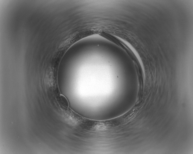 X0000061110416200511181135