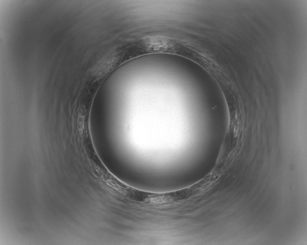 X0000061110417200511181135